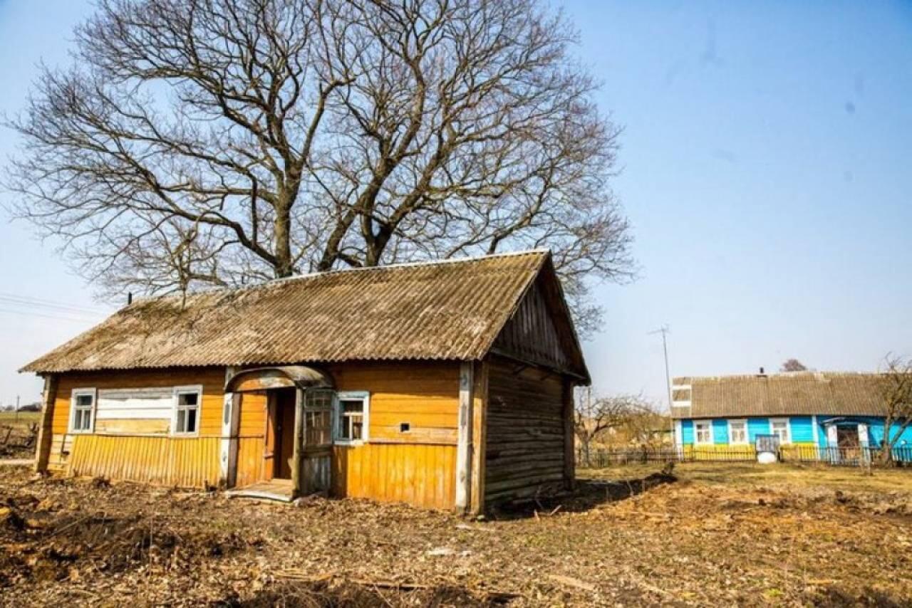 фото из интернета, носит иллюстративный характер