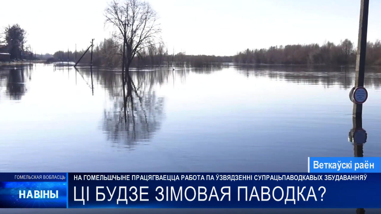 скриншот ТРК «Гомель»