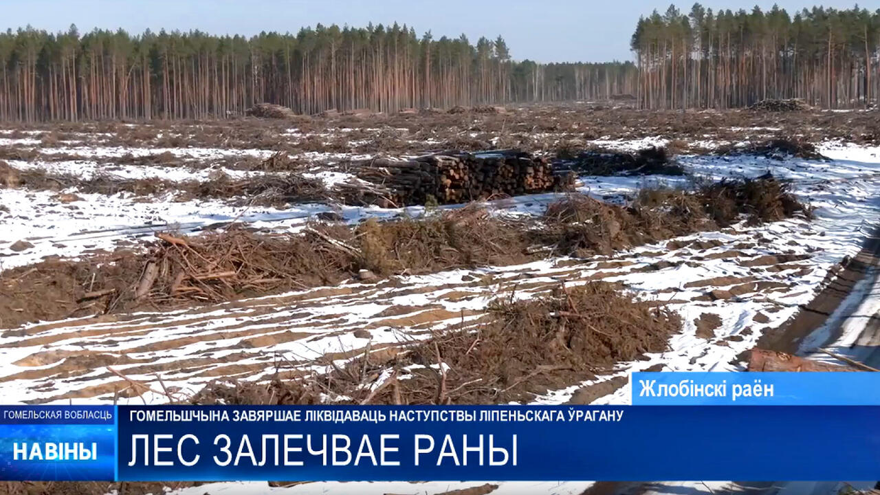 скриншот видео ТРК «Гомель»
