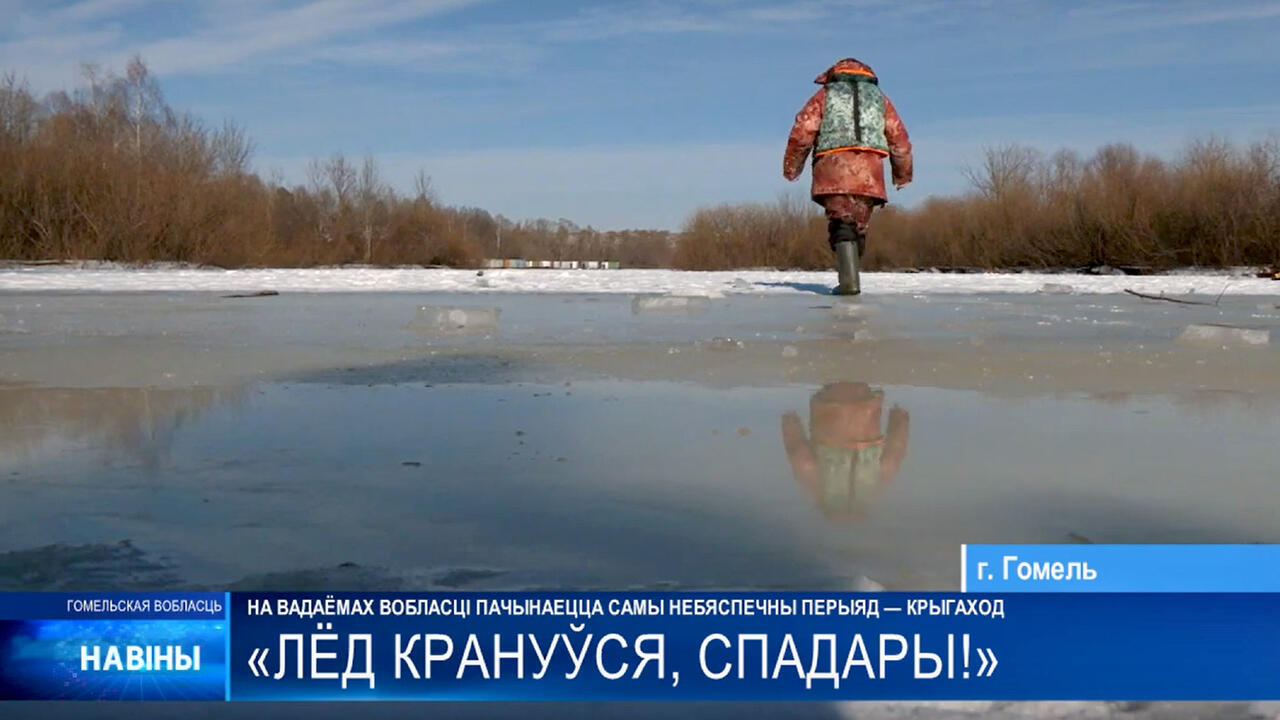 скриншот видео ТРК «Гомель»