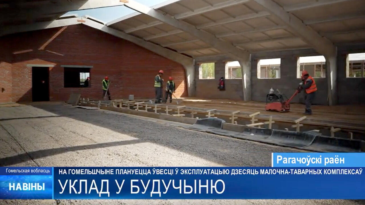 скриншот видео ТРК «Гомель»
