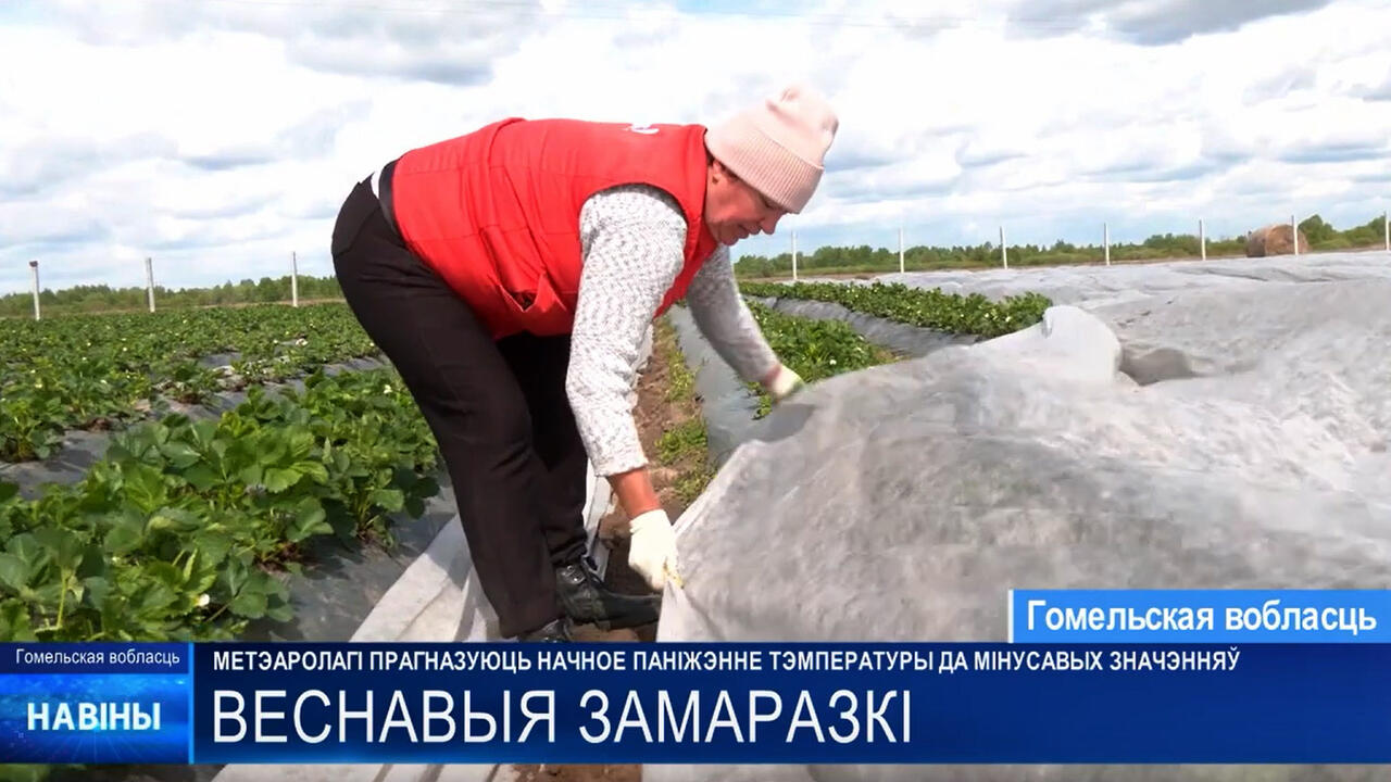 скриншот видео ТРК «Гомель»