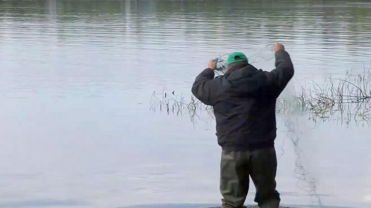 скриншот видео ТРК «Гомель»