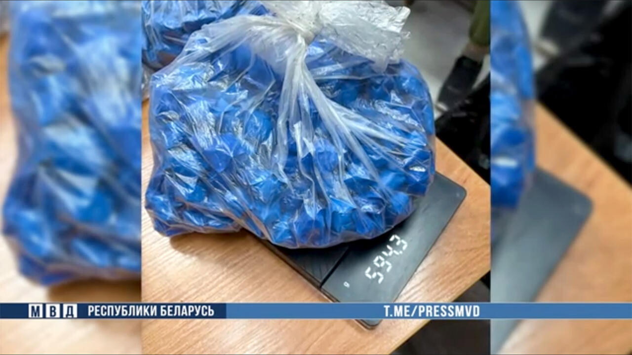 Скриншот видео УВД Гомельского облисполкома