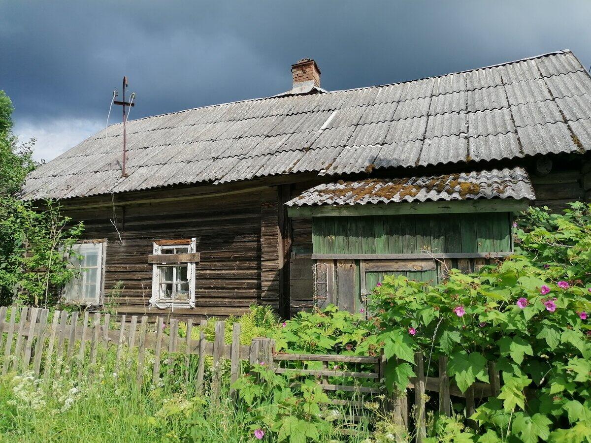 фото из интернета, носит иллюстративный характер