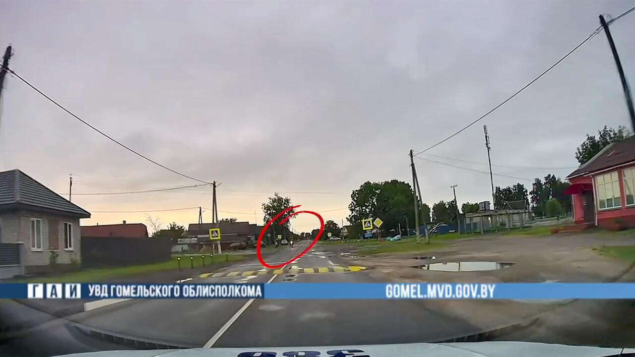 Скриншот видео УВД Гомельского облисполкома