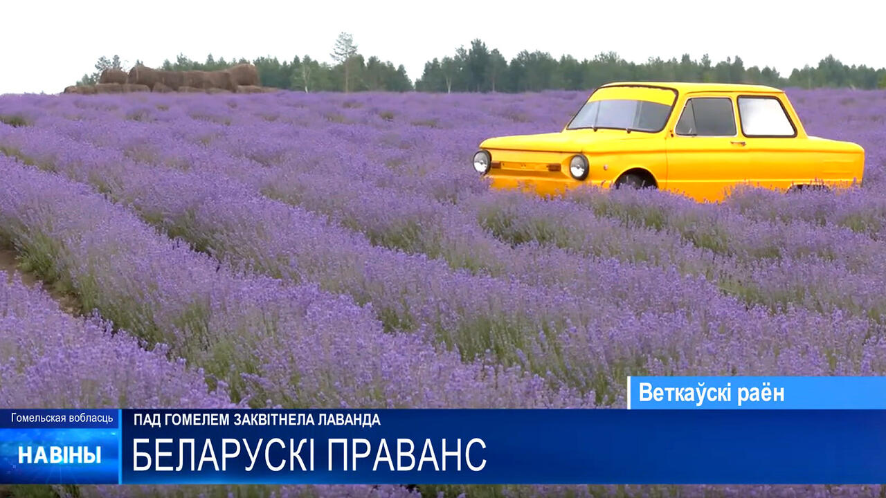 кадр из видео Tvrgomel.by
